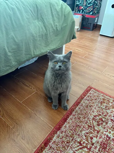 First day home vs yesterday!