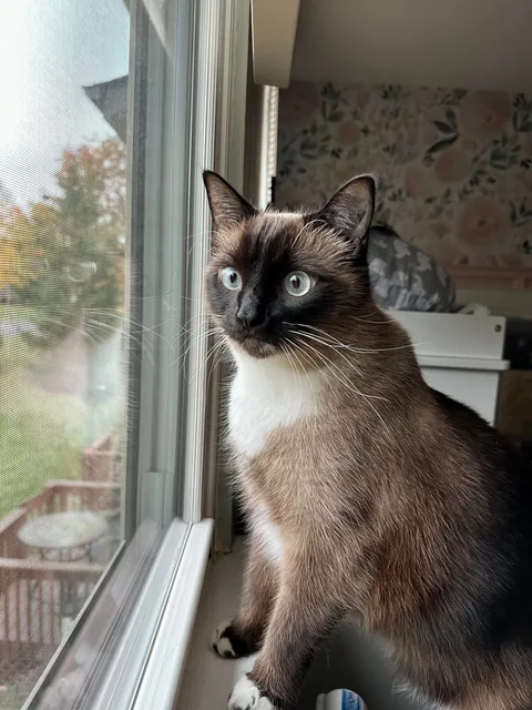 I didn’t know it would be our last day together