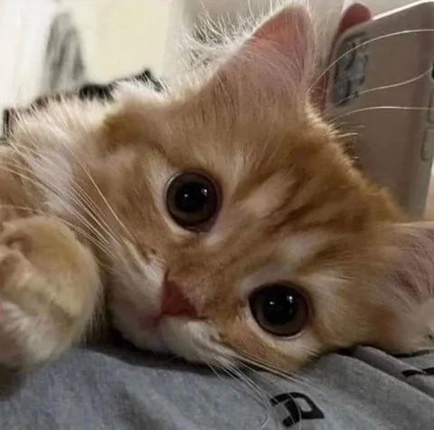 This is what unconditional love looks like ❤and I m glad I found that