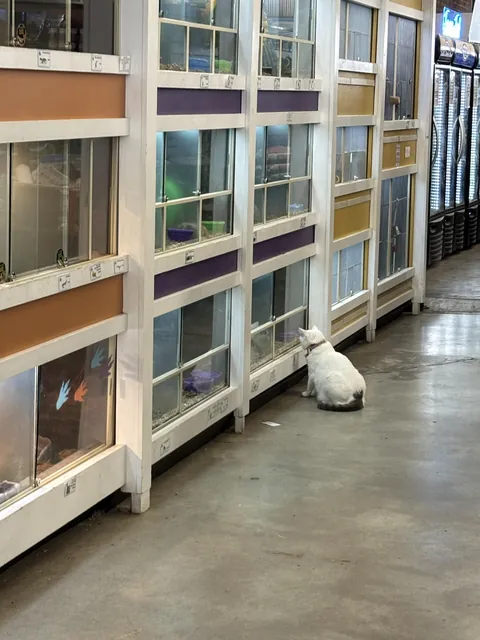 Pet Store Supervisor
