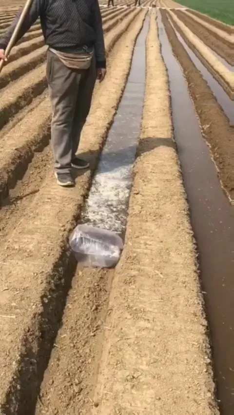 Rolling bag of water
