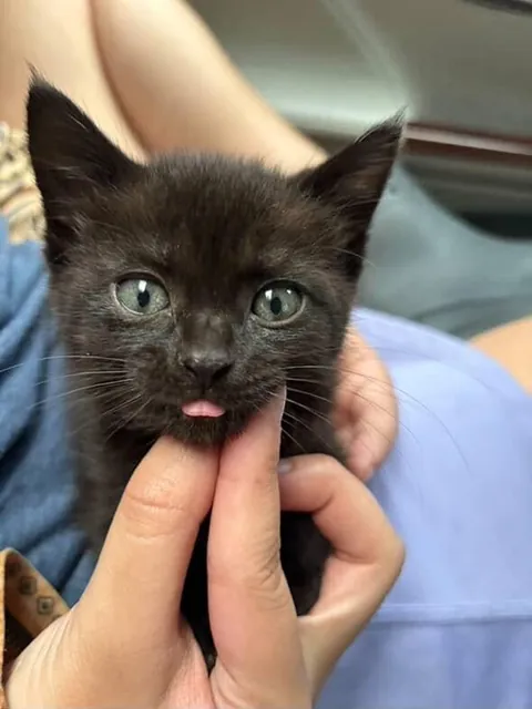 moomin jeans living her absolute best life