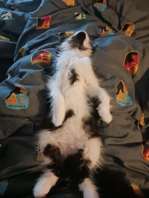 She might have a favourite sleeping position