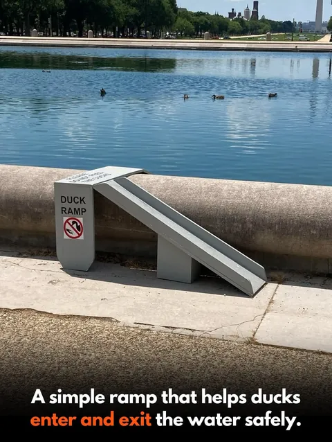 Design that puts People, Animals and Nature first.