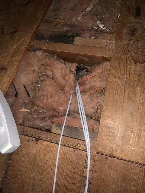 Just finished running cat6 through my house