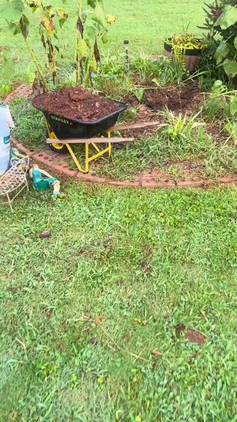 What the heck is tunneling under my garden??!