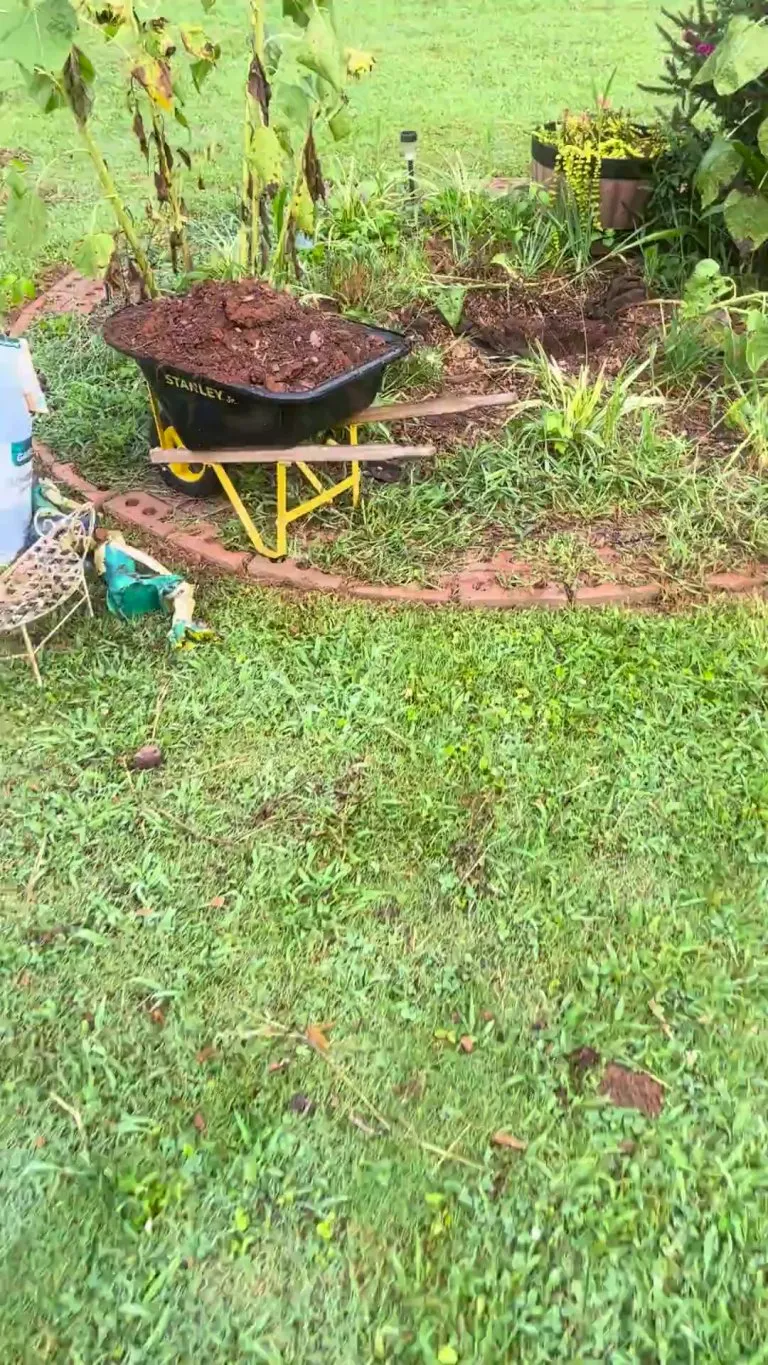 What the heck is tunneling under my garden??!