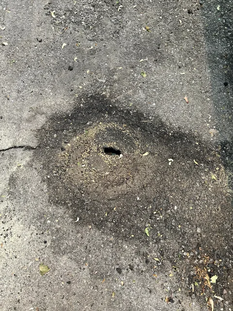 Hole appeared in driveway. Is this DIYable?