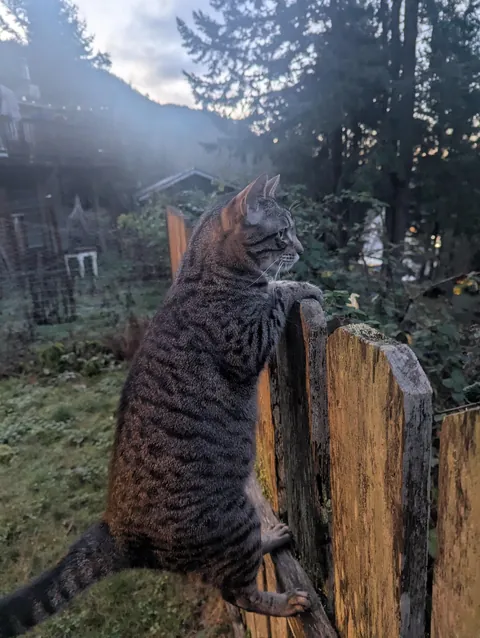 Everything the light touches…