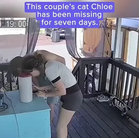 Cat mom breaks down when cat returns after going missing.