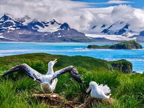 🔥 Reasons Antarctica Should Be On Your Bucket List