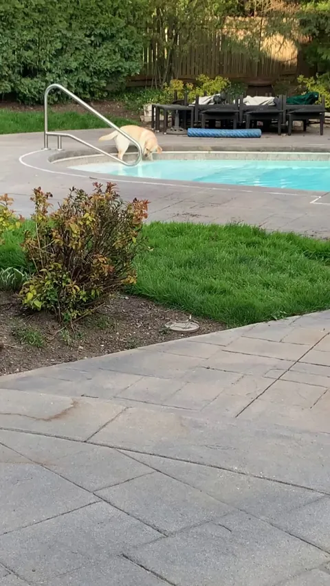 7-month-old derp plays in the pool for the first time... Just keep watching