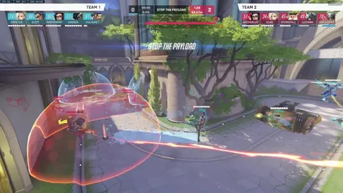 Most skilled Zen player.