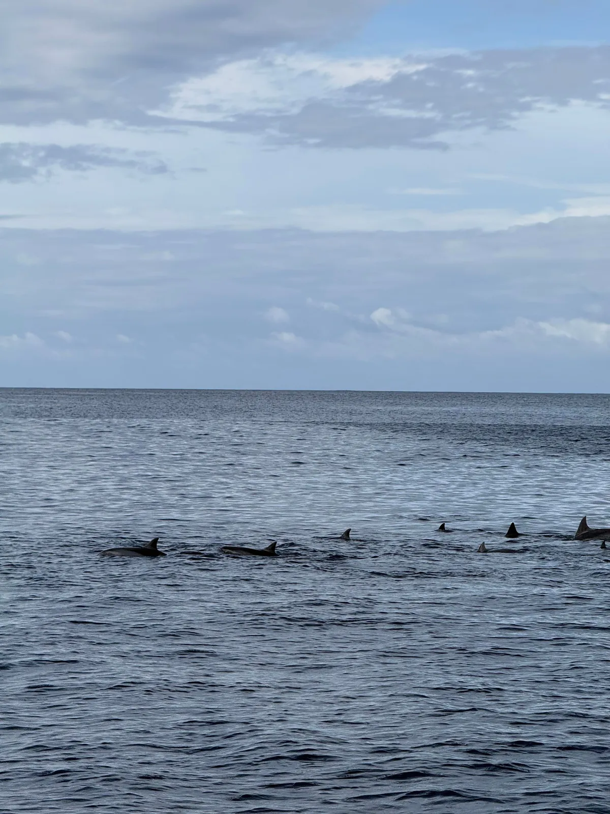 8 days vacation in Mauritius.