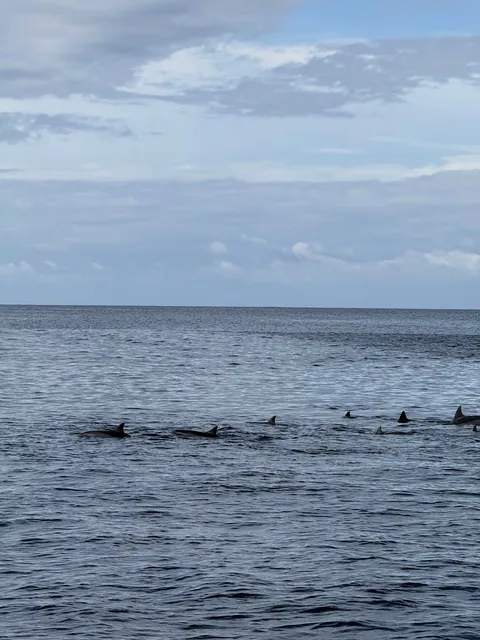 8 days vacation in Mauritius.