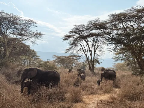 Why October in Tanzania was the best travel decision I’ve ever made (Serengeti &amp; Ngorongoro)