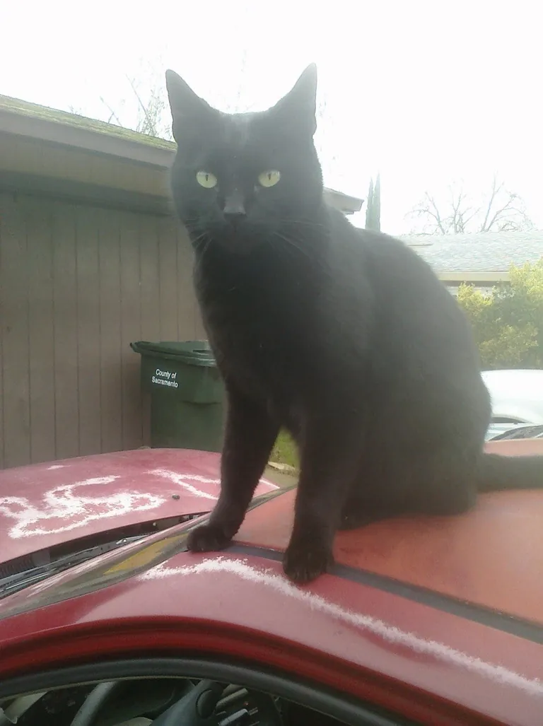 Tomorrow morning, I'll say goodbye to my friend of nearly 20 years 😢