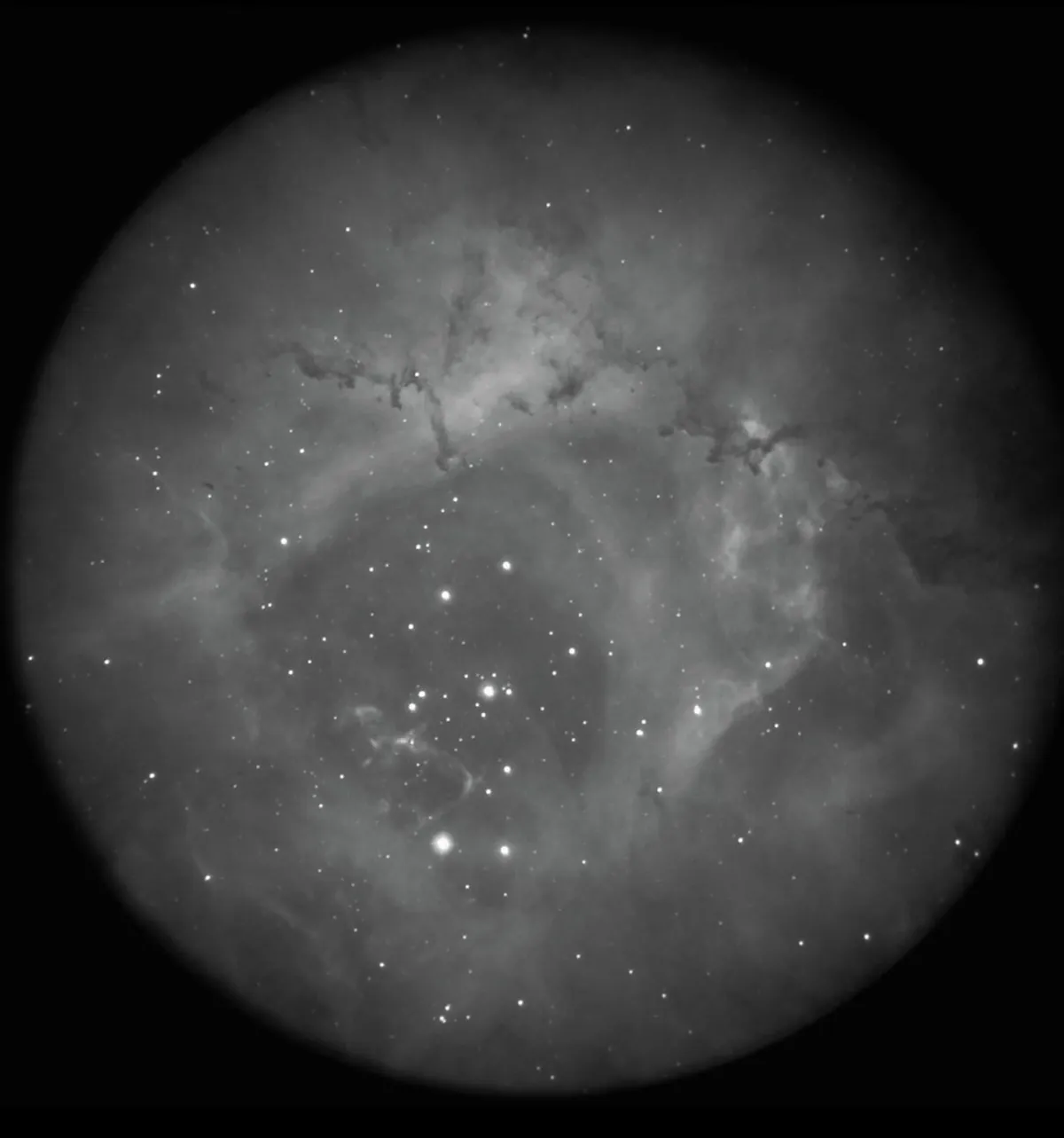 Nightvision with a 16 inch dob and 85mm refractor and iPhone