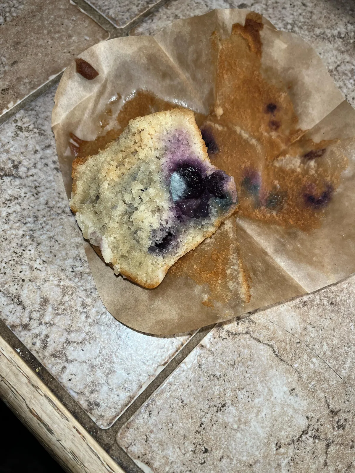 After eating half of this blueberry muffin, I realized it felt funny in my mouth. Turns out it was mold. I ate mold.