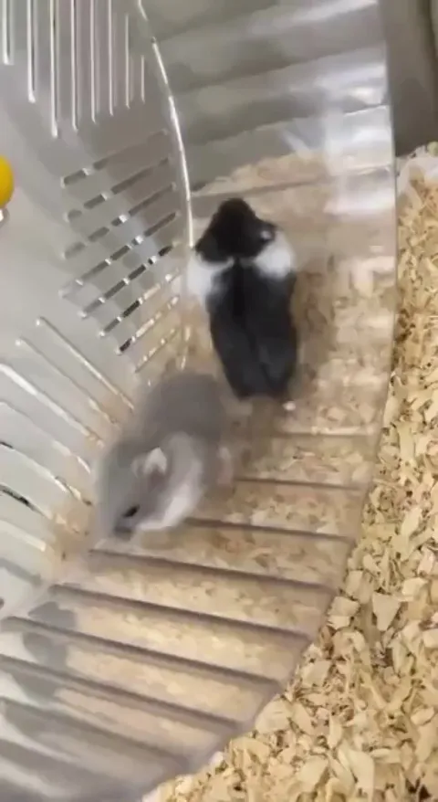 I guess they don’t know how it works yet