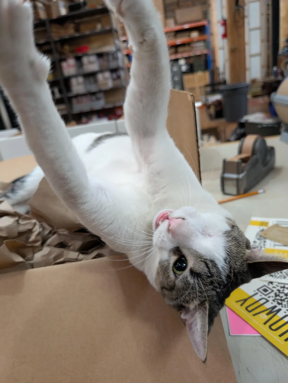 Garbage is our new printshop assistant