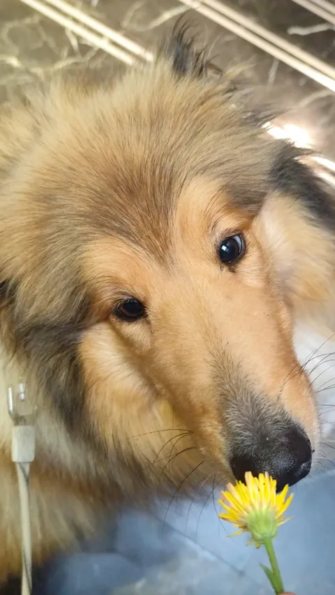 Sometimes in life you have to stop and smell the flowers!