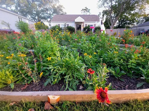 Pollinator garden UPDATE