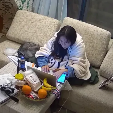 Working from home struggles