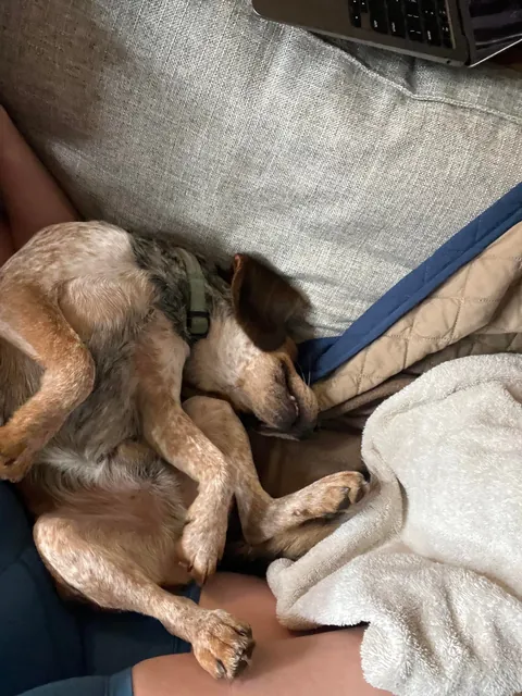 First week being officially ours ❤️