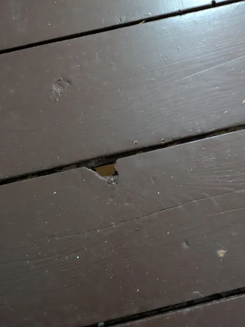 100 year old heartwood pine floors - to sand or to paint?