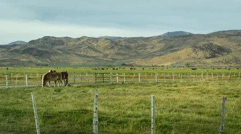 10 days in Montana and Idaho in October
