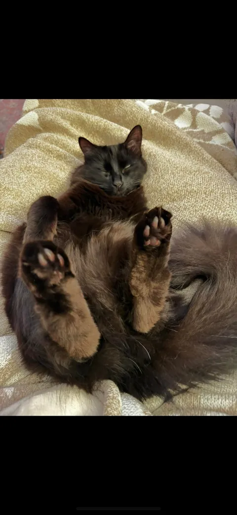 I’m abroad for ten days and I miss himmmmm