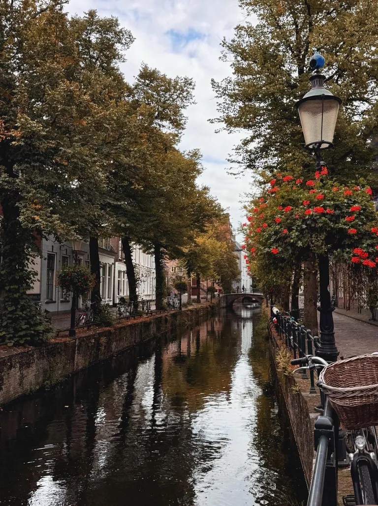 Autumnal day in my favorite street. Piet Mondriaan, the artist, was born here 