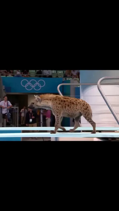 Apparently this is peak content on Facebook 💀