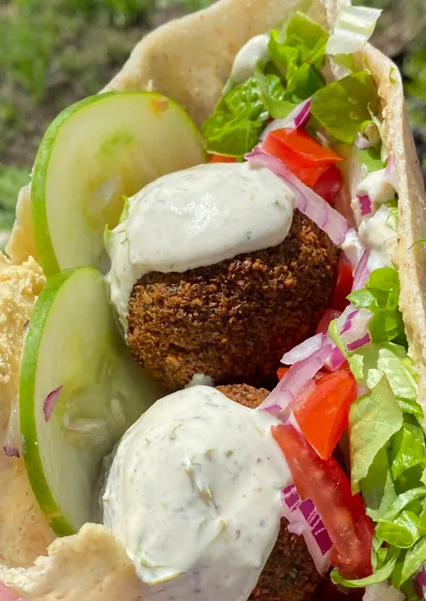 I made a falafel pita. Every single component of this is made from scratch, by me. I even grew the lettuce and cucumbers myself.