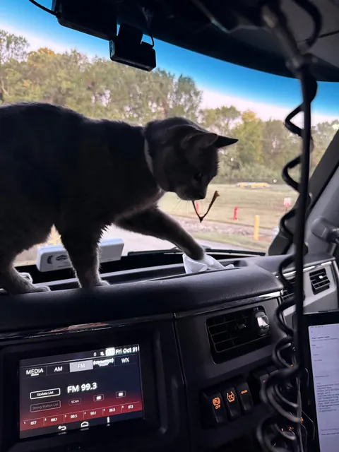 Lola is a truck driver 🚛!! She is 11 years old. 🙂