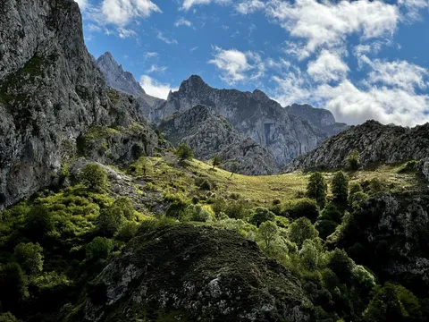 A meadow high in the Picos de Europa of northern Spain [OC] [4032x3024] 