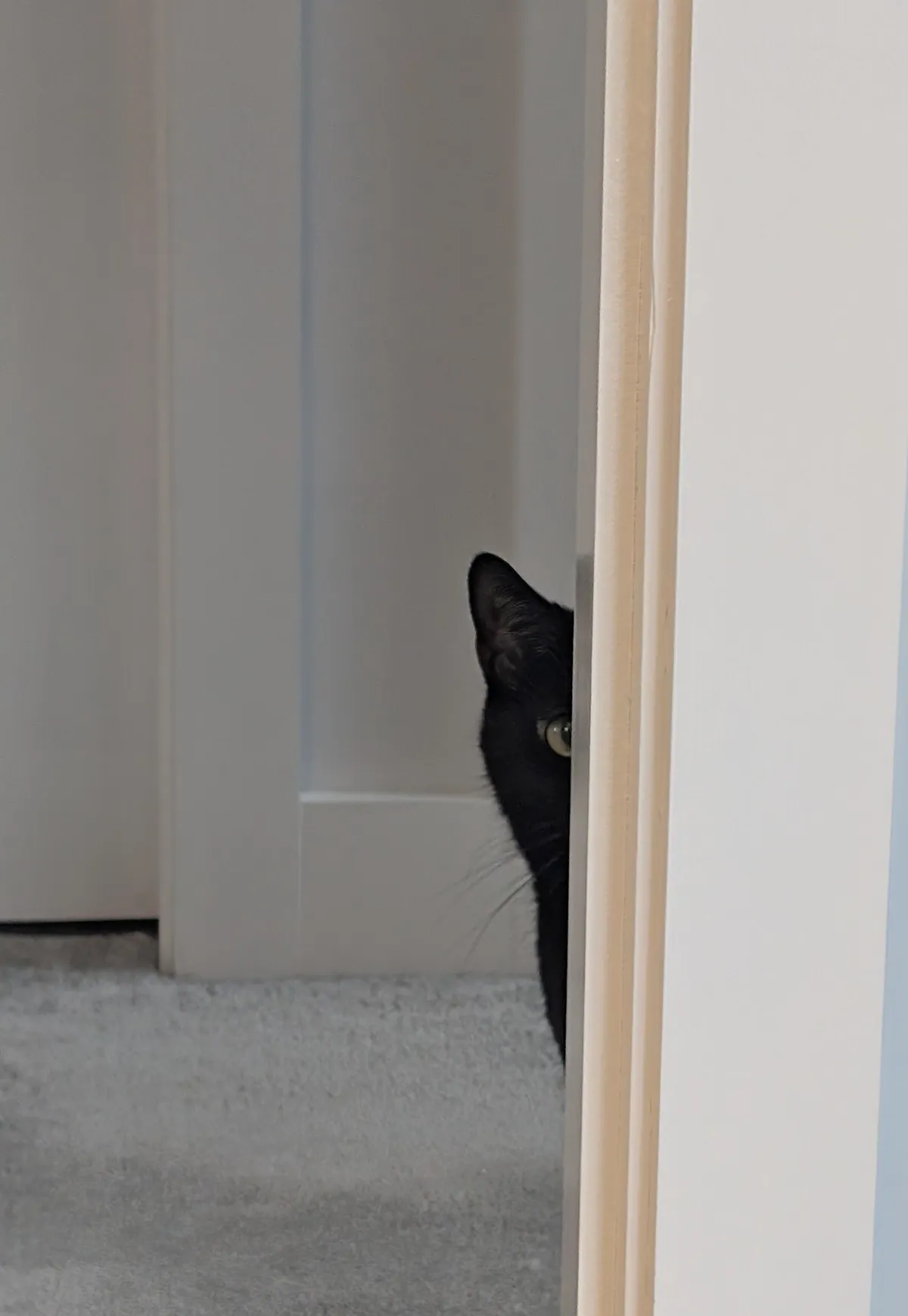 Does your void ever do this? 😂