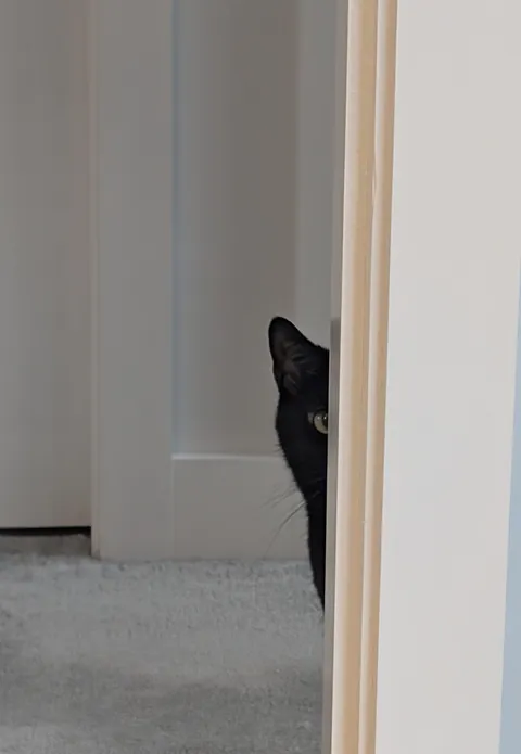 Does your void ever do this? 😂