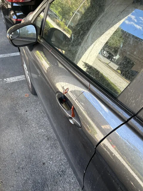 Someone put ketchup on my car door handle