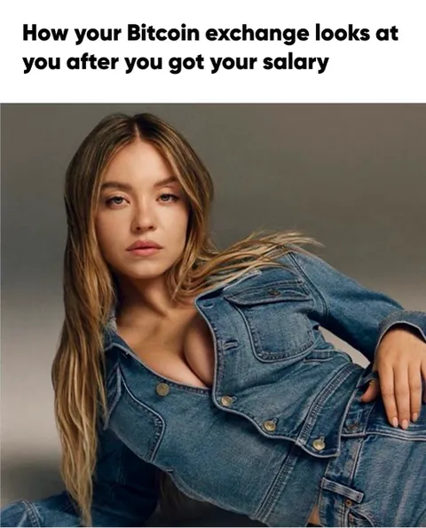 Daily Bitcoin meme until BTC is at $200,000 #87