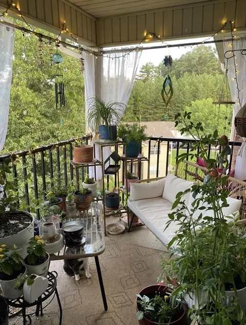 my patio in the summer 🌻🌸