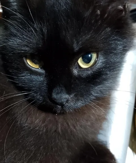 What are you looking at?