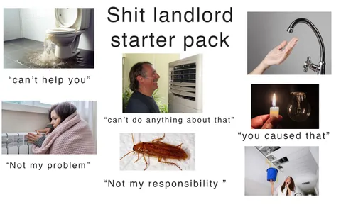 Shit landlord starter pack