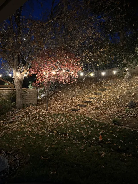 My parents backyard during fall.