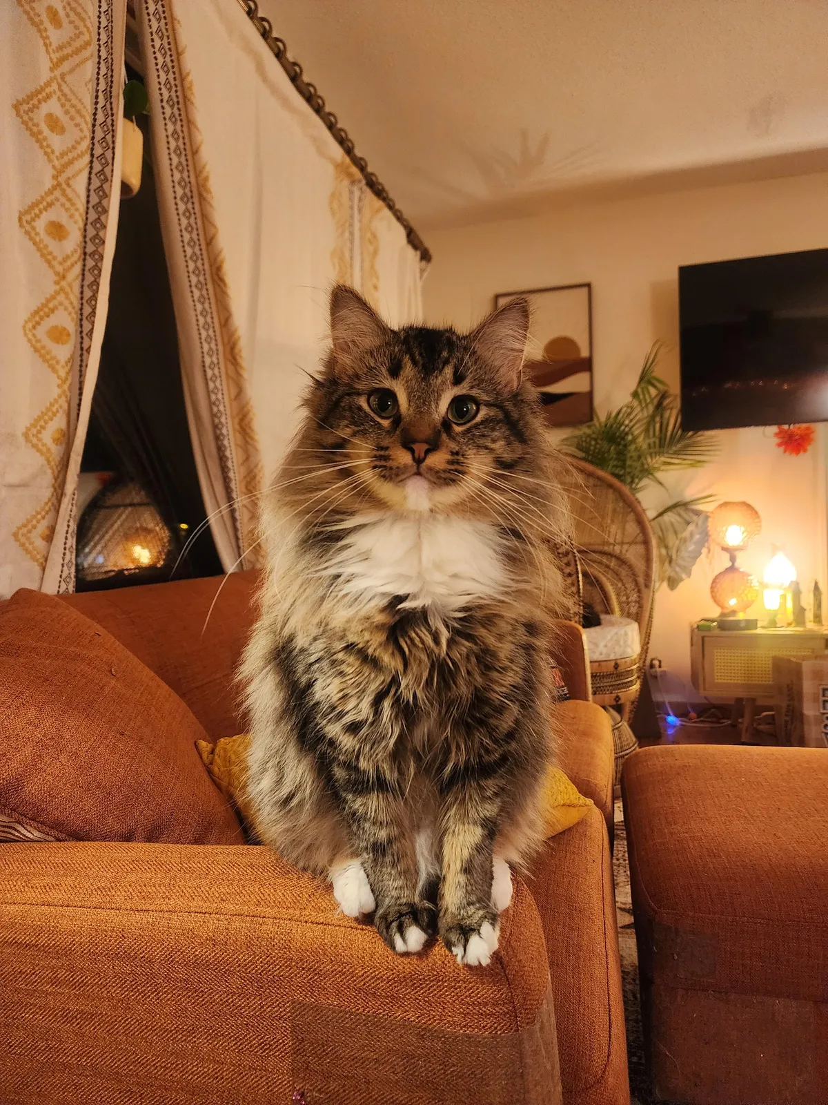 Indiana is officially all grown up! One year old.