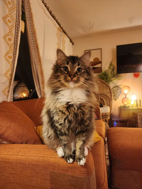 Indiana is officially all grown up! One year old.