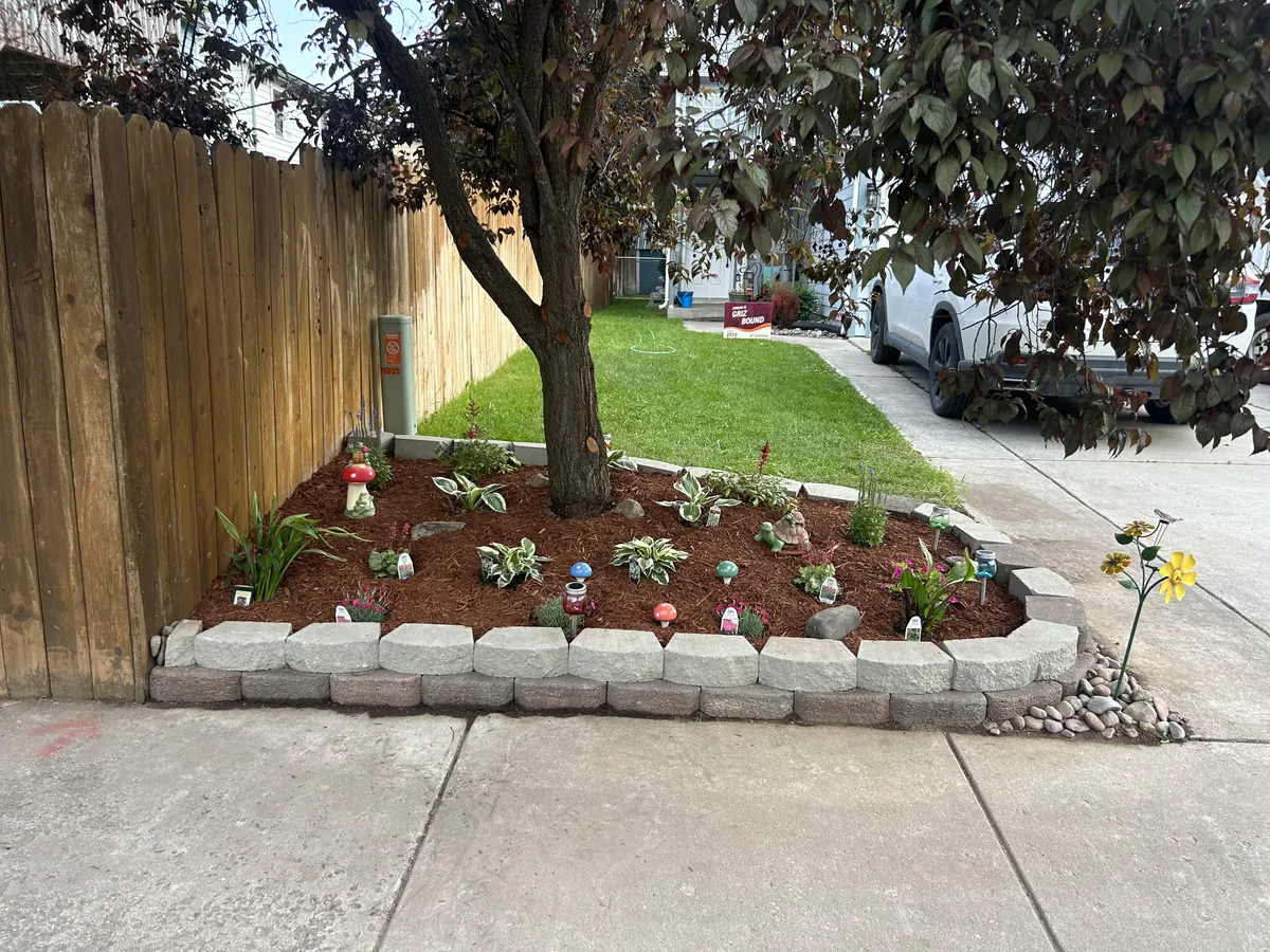 My first attempt at gardening. My oldest son and I worked on this together.