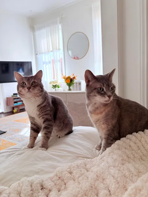 reposting my cozy sanctuary!