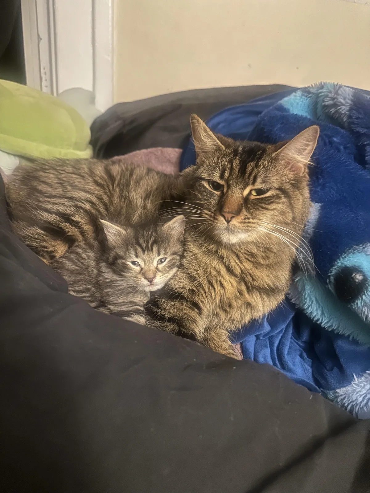 Mother and daughter 😍